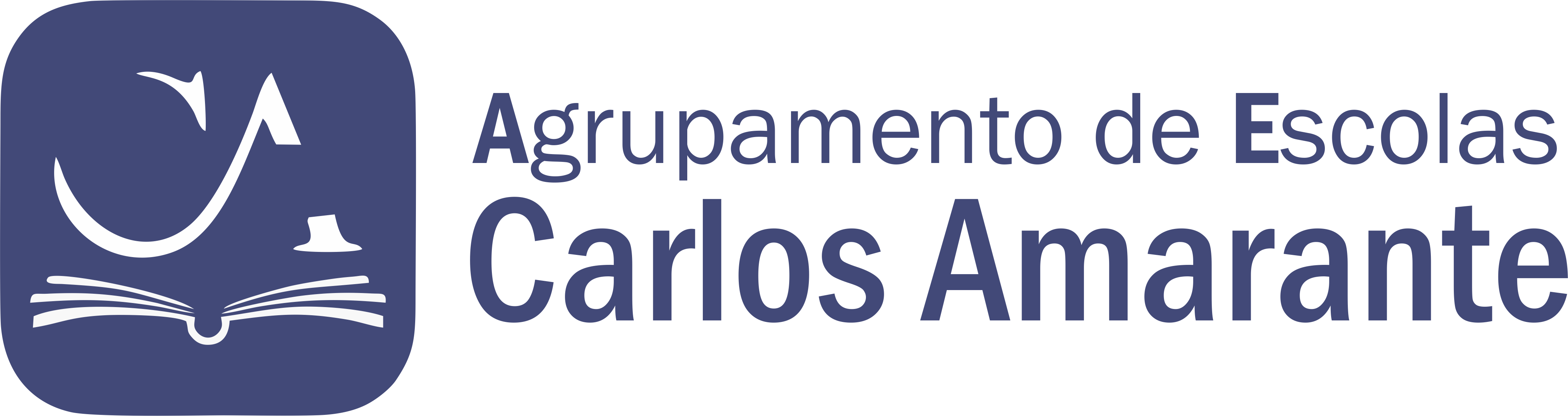 AE Carlos Amarante